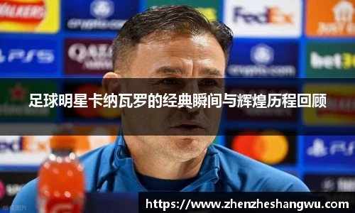 365WM完美体育官方app