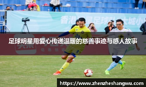 365WM完美体育官方网站